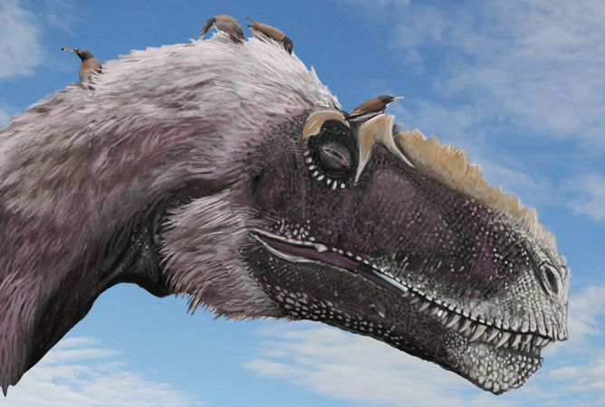 一群早期鸟类(Longirostravis)在帮它们的近缘类群之一的大型恐龙 (Yutyrannus)整理羽毛。这两个物种都生活在白垩纪(约1.2亿年前),位于