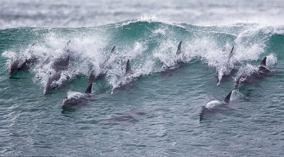 һȺĺϷǽܸ綥£Լĳ㣬ӡ̡