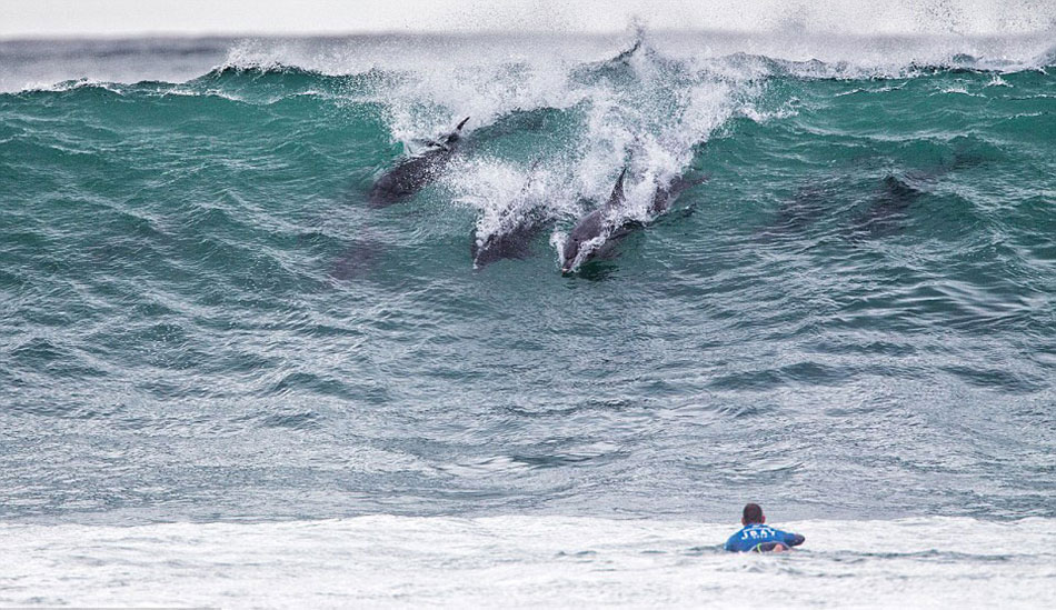 ʡƽ˺ʹǺȺƣͬʱۿǣʧΪһ˵ܡ