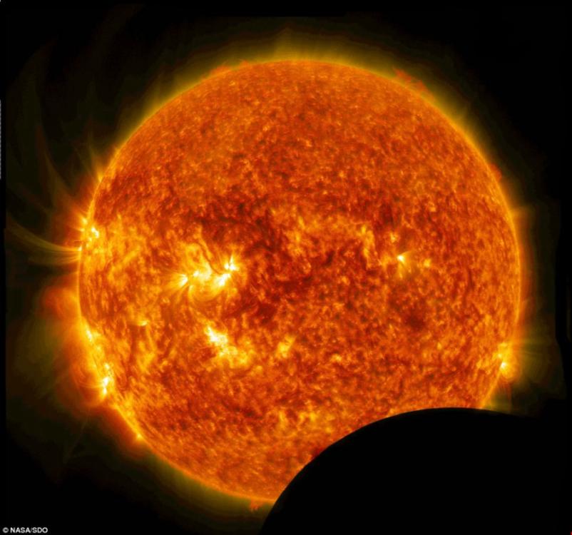 NASA��̫������ѧ����̨�����㵽̫���е���ƫʳ�������족