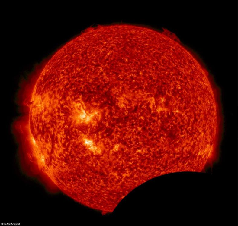 NASA��̫������ѧ����̨�����㵽̫���е���ƫʳ�������족