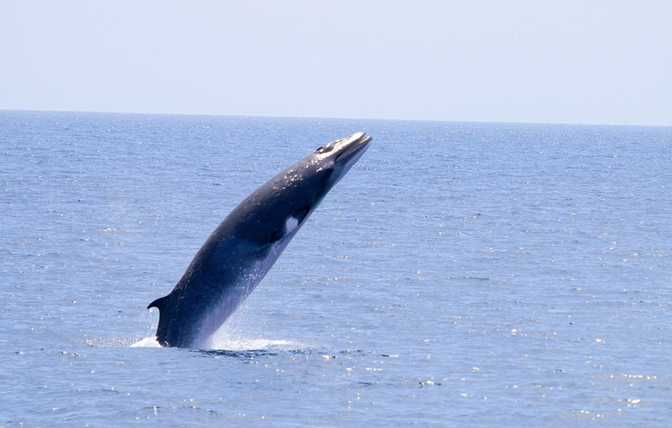 ������Ӱʦץ�ĵ�С�뾨�Ӻ�������ˮ�沢�ſ���ĳ���