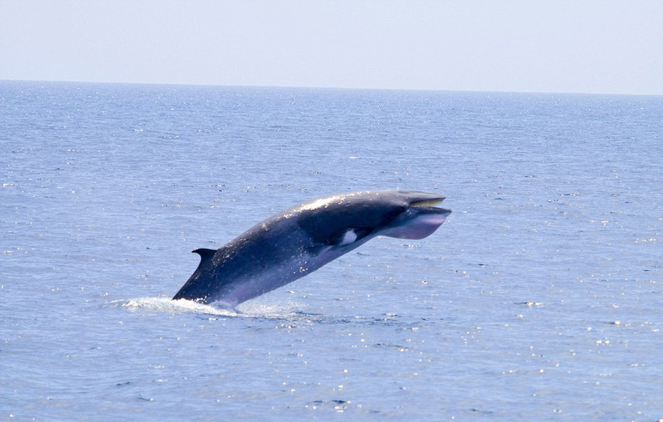 ������Ӱʦץ�ĵ�С�뾨�Ӻ�������ˮ�沢�ſ���ĳ���