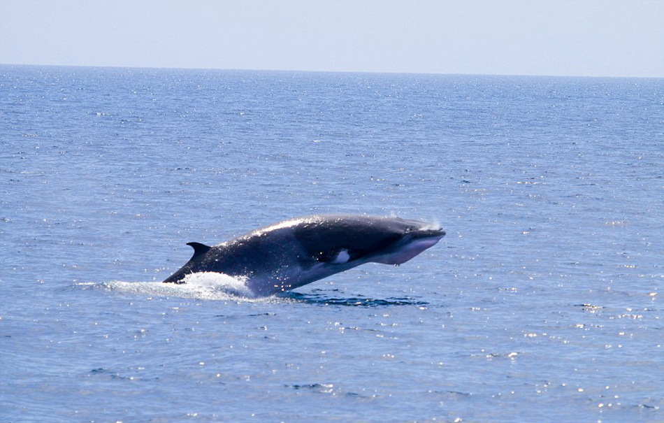 ������Ӱʦץ�ĵ�С�뾨�Ӻ�������ˮ�沢�ſ���ĳ���