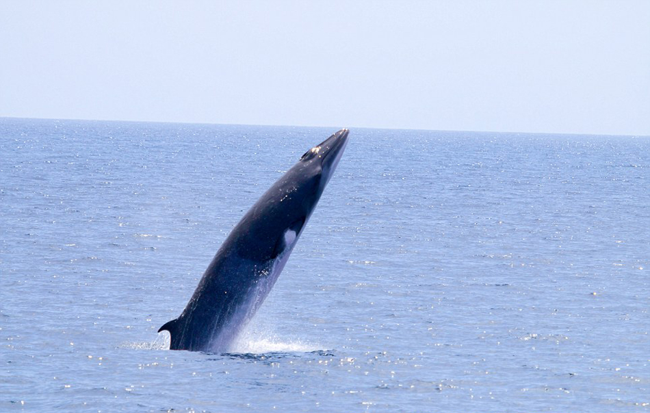 ������Ӱʦץ�ĵ�С�뾨�Ӻ�������ˮ�沢�ſ���ĳ���