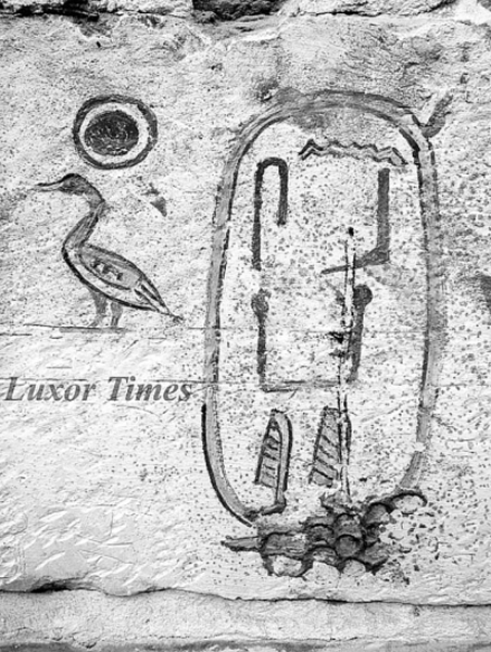 ���з������ŵ���Բ�����ƿ�