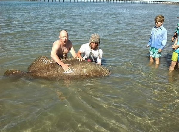 ������ʿ��2��������һ������100����ľ޴�ʯ��