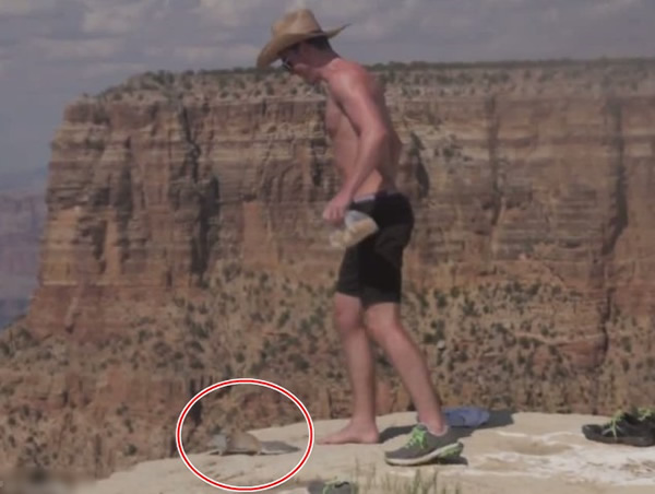 ������̬���ο���������Ͽ�ȹ��ҹ�԰��ɽ����������Ͽ��