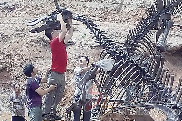 “棘鼻青岛龙”63年后终于“重返故里”