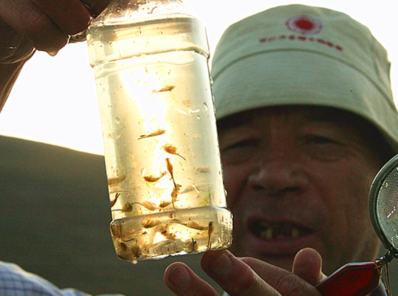 ����̩����������Ļ�����ѧ�߽������ڹ۲조��ŮϺ��