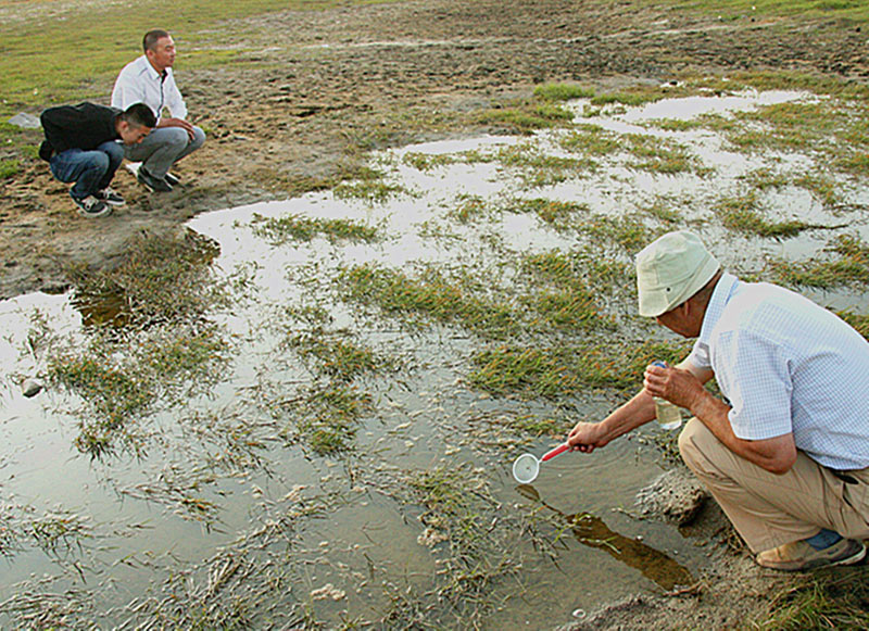 ��������ˮ̶�д��̡���ŮϺ��