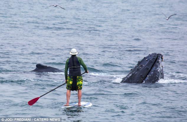 ��������������������߽������Ϸ��ͷ��