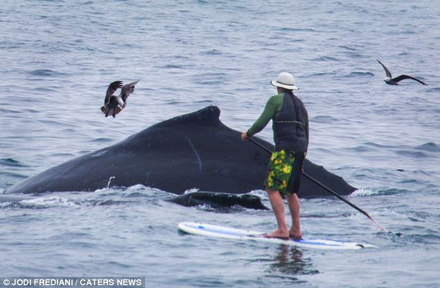 ��������������������߽������Ϸ��ͷ��