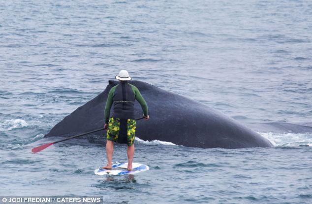 ��������������������߽������Ϸ��ͷ��