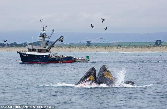 ��������������������߽������Ϸ��ͷ��