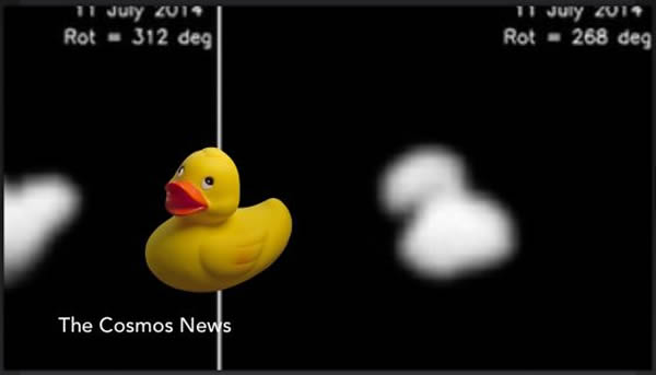 ���ǡ�67P/����Ī��-����ϣ�ſˡ��������״�ܲ����򣬿�ѧ������Ϊ���������Ӻ���һֻ���Ѽ