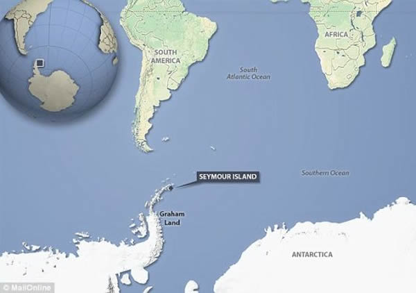 化石是在南极半岛的西摩岛上发现的