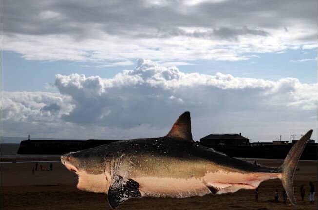 Ӣ������ʿ��˹������̲��վ��֡�����衱