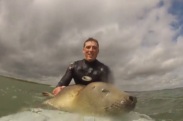 Ӣ�����麣����������������ӵĶ���