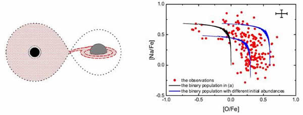 左图:双星相互作用示意图。右图:双星相互作用产生的钠-氧(Na-O)反相关与球状星团观测样本的对比图。