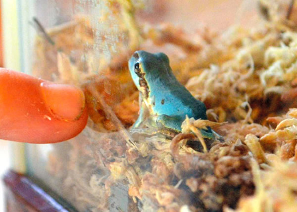 �ձ�ɽ���ر�����չ��ǳ��ɫ����