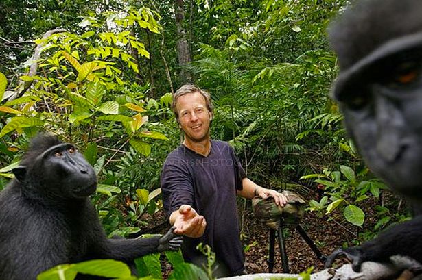 史雷特与黑冠猴