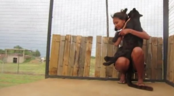 �ϷǺڱ��¶������幤����