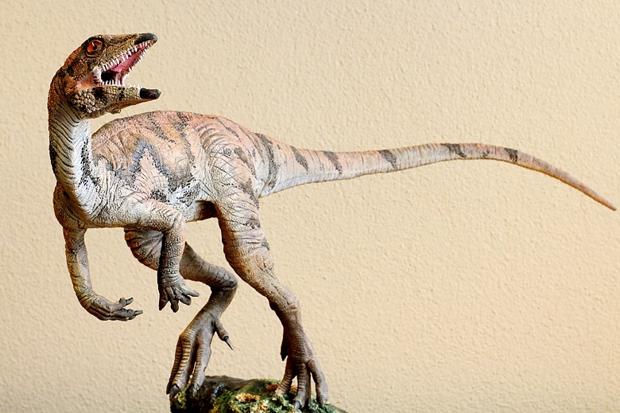 委内瑞拉拉金塔龙(Laquintasaura venezuelae)复原图