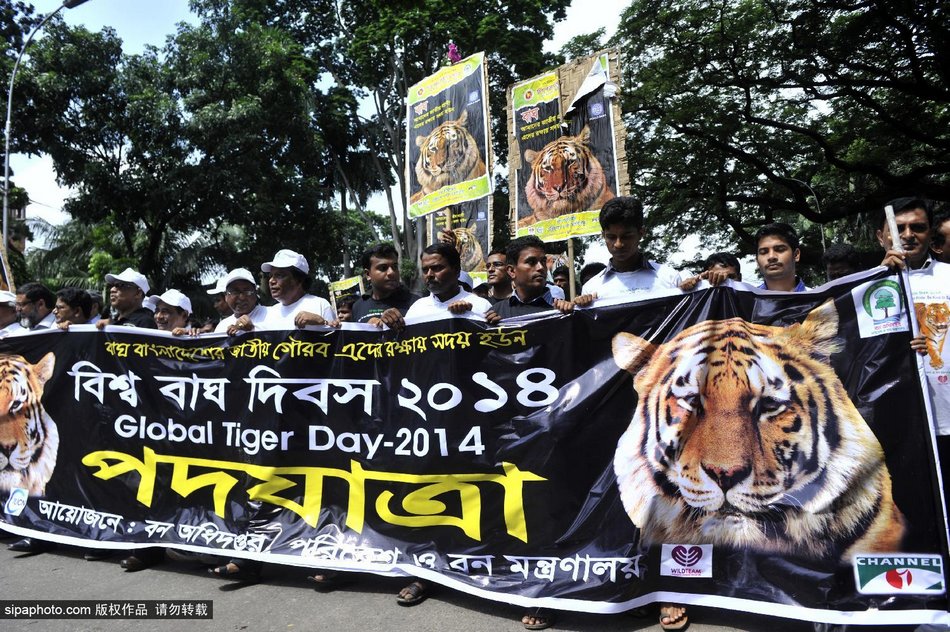 ϼڽϾף￨ȫϻջ