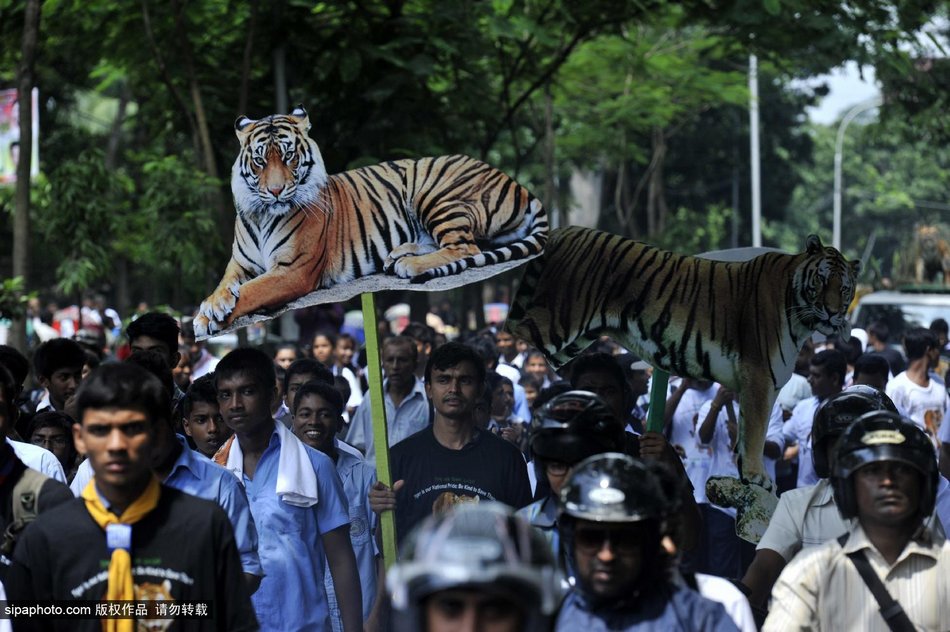 ϼڽϾף￨ȫϻջ