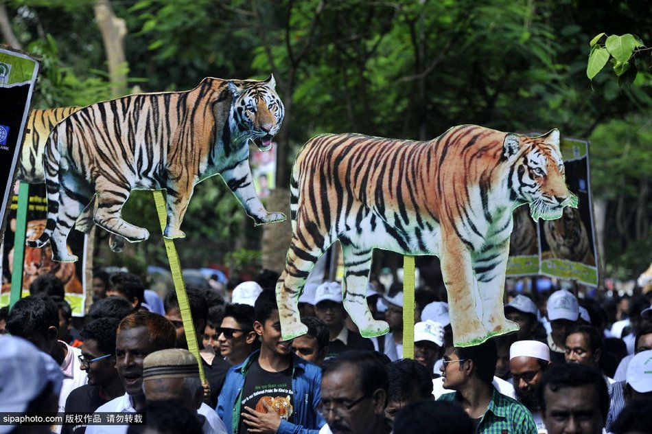 ϼڽϾף￨ȫϻջ