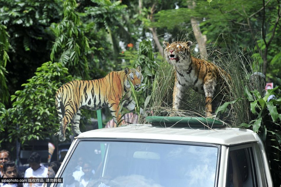 ϼڽϾף￨ȫϻջ