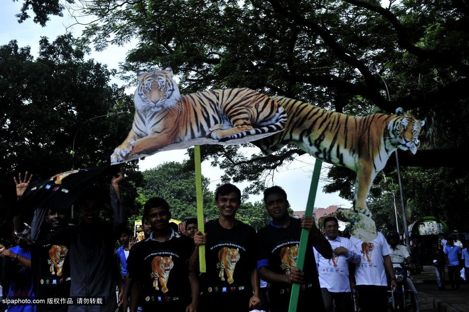 ϼڽϾף￨ȫϻջ