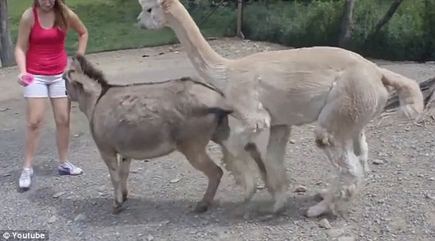 ����԰¿�ӽ���ʱŭ�������ҵ���