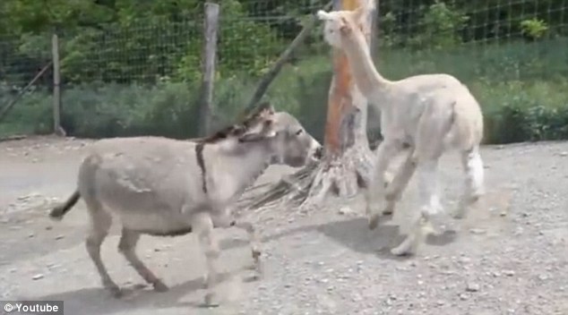 ����԰¿�ӽ���ʱŭ�������ҵ���