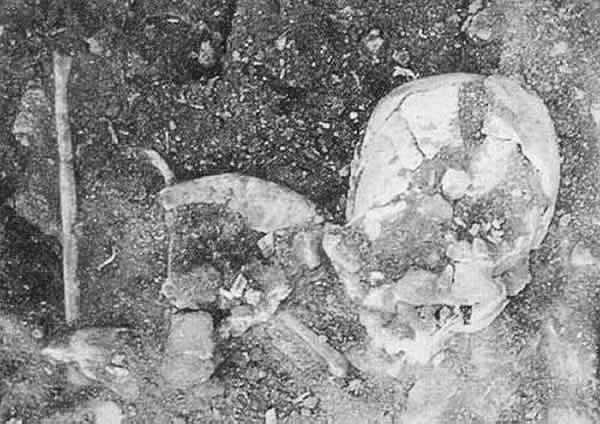 东北地区迄今发现时代最早的古人类遗址——营口“金牛山遗址”