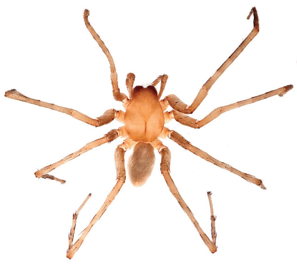 ӹ͹ҹ԰зֵä۶Ѩ֣֩-