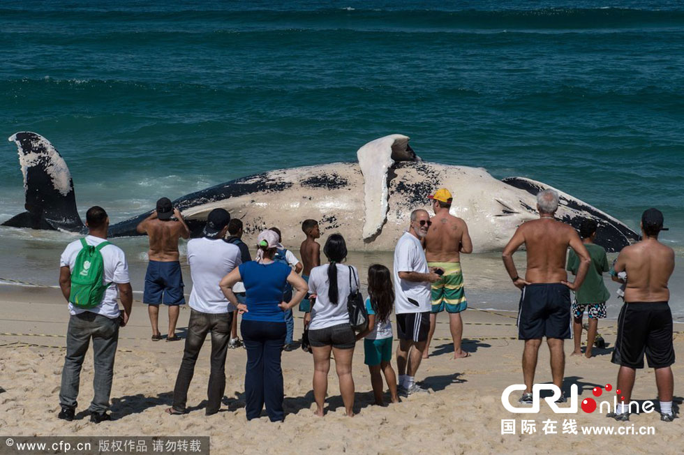 Լ¬Macumba̲ǳһͷͷΧ