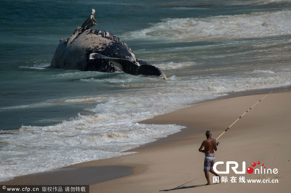 Լ¬Macumba̲ǳһͷͷΧ