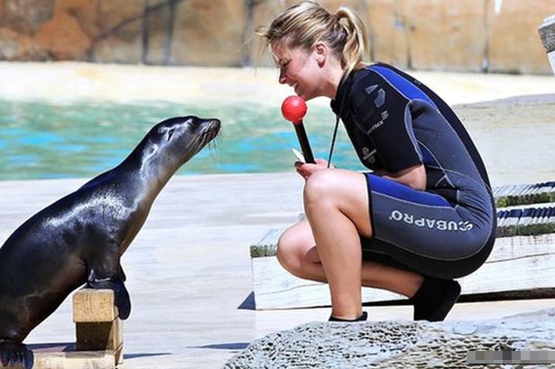 Ӣ27ŮԺ оʨ˶ʿѧλ