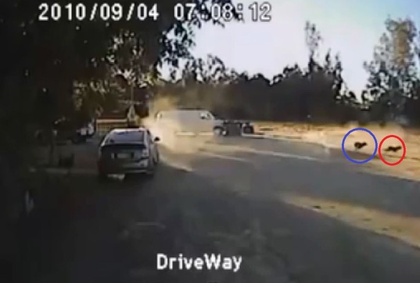 ������(��Ȧ)���Ʋ����ˣ���׷����(��Ȧ)��