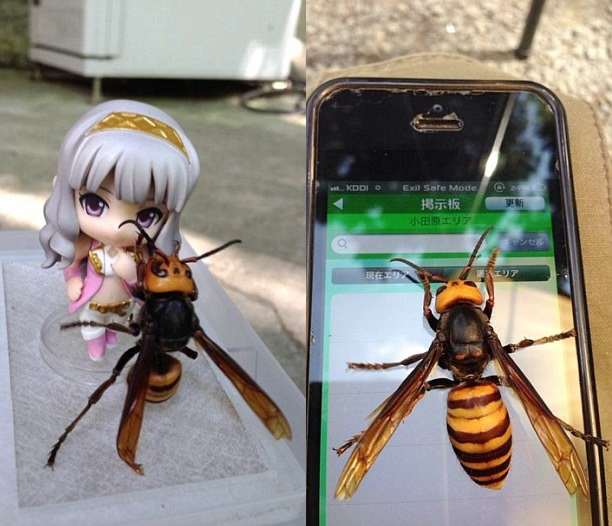 ձƲ׽һֻԼǿĴƷﱻ