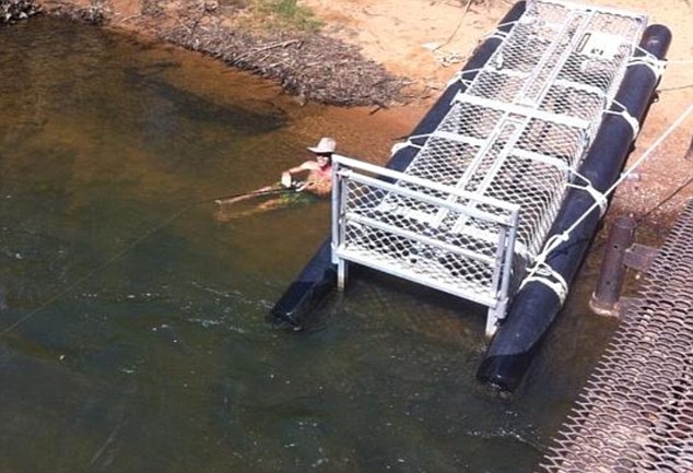 澳大利亚游客不顾危险与鳄鱼合影