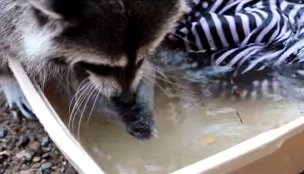 ����˹����԰������ܸ���ͬ�����Լ�ϴ�·�