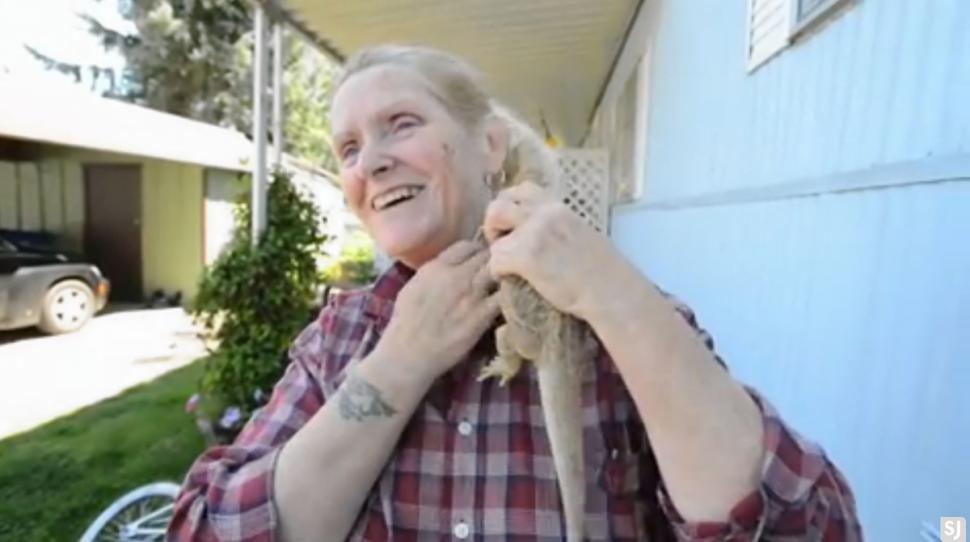 ����Ů������CPR�Ȼ���ʨ��