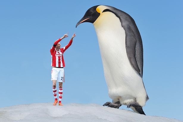 阿根廷科学家在南极地区发现3700多万年前身高可达2米的“巨型企鹅”复原图