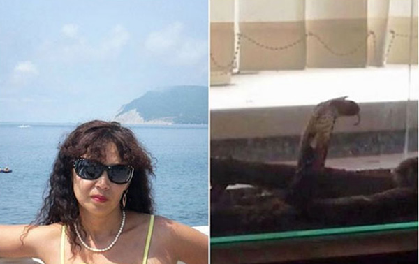 一名女性游客在俄罗斯和眼镜蛇“自拍”时被咬伤