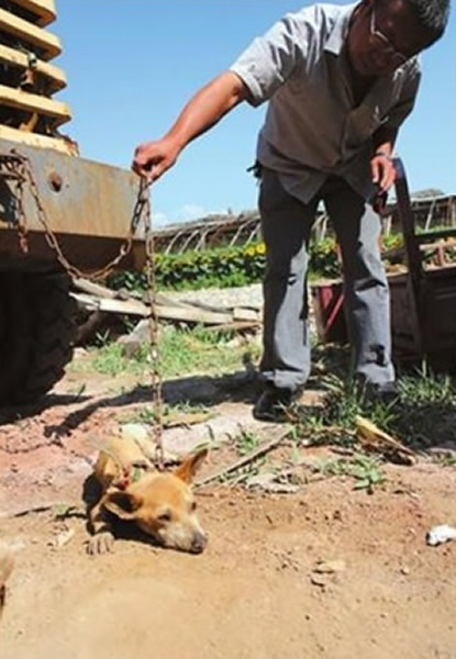 ���Ĳ�������ҧ���� �����ƹ����Ʋ���