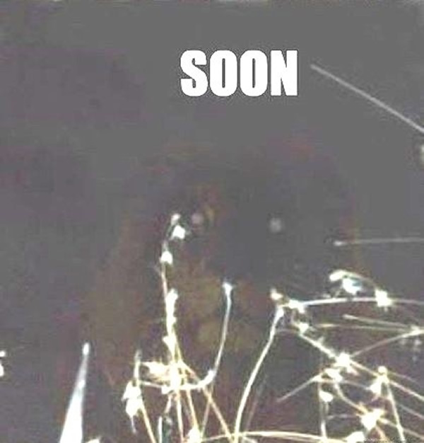 �ֲ���ҹ�������������� �ؼҿ���Ƭ���ֱ���վ��...