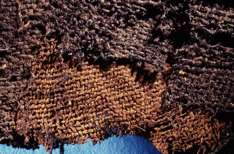 古埃及人制作木乃伊的历史比以往研究估计的早1500年左右